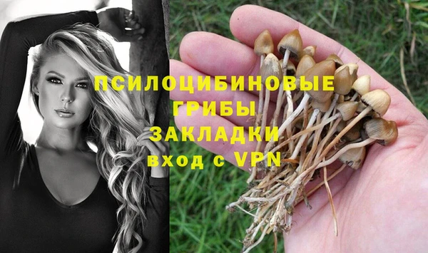 прущие крисы Белокуриха