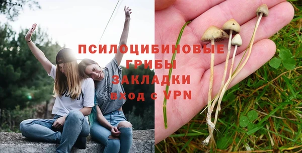 прущие крисы Белокуриха